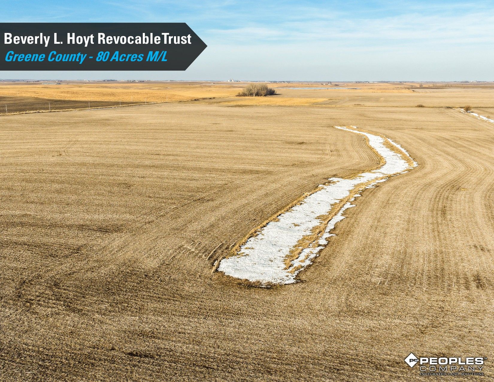 Listing Photo: Hoyt-Trust-Greene-County-Iowa-80Acres-Scranton-18837 (19)